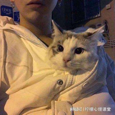 青蛙蹦蹦跳游戏下载