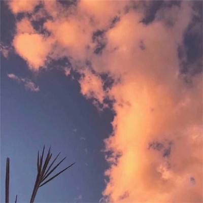 口袋妖怪萌娘进化破解版下载